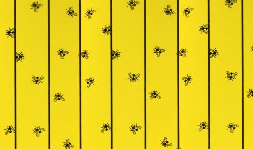 FlyMaster légycsapda - karton, istállóba, 6 db, 595 x 300 mm