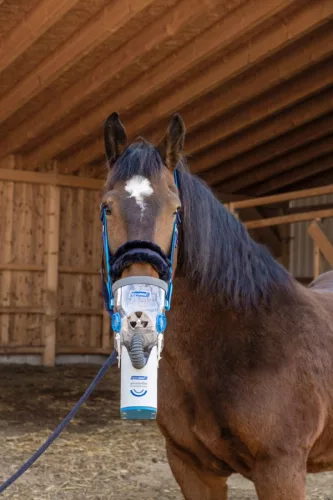 Hidegvérű inhalátormaszk AirOne Flex ultrahangos inhalátor szetthez - kiegészítőkkel