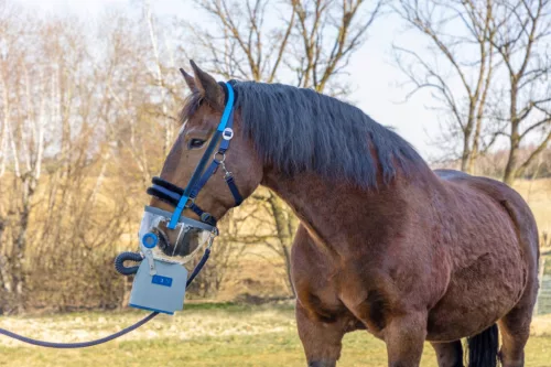 Hidegvérű inhalátormaszk AirOne Flex ultrahangos inhalátor szetthez - kiegészítőkkel