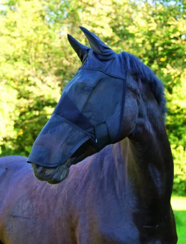 Covalliero légymaszk orrhálóval - cob