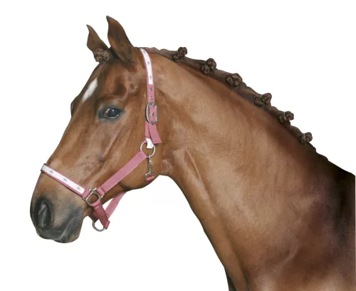 Sörénygumi - fehér, 800 db