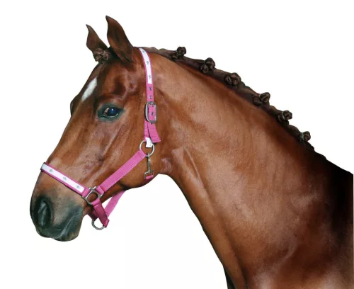 Sörénygumi - fekete, 500 db