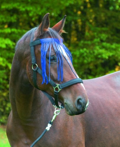 Covalliero nylon légysallang - kék, full