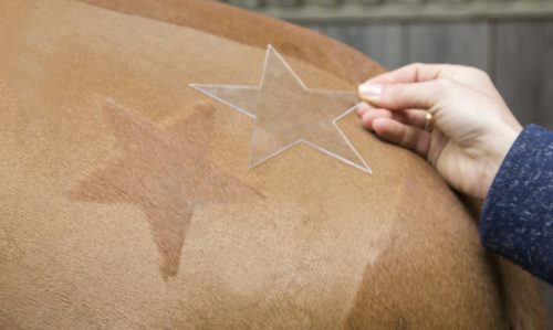 Nyírósablon - 3 db-os szett