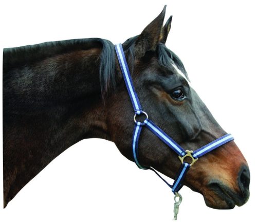 Covalliero Hippo kötőfék - tengerkék / világoskék, 2