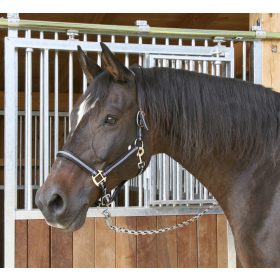 Covalliero Mustang kötőfék - fekete/ezüst, 1