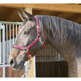 Covalliero Mustang kötőfék - piros/fekete, 1