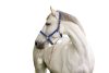 Covalliero Mustang kötőfék - kék/fekete, 1