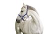 Covalliero Mustang kötőfék - kék/fekete, 1