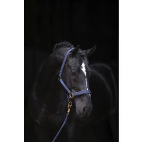 Covalliero TopLine kötőfék - kék, pony