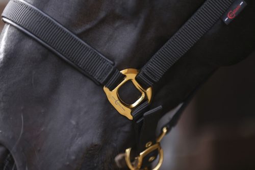 Covalliero TopLine kötőfék - fekete, pony