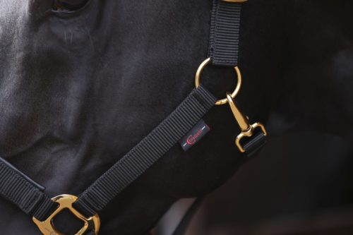 Covalliero TopLine kötőfék - fekete, full