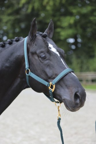 Covalliero TopLine kötőfék - zöld, pony