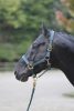 Covalliero TopLine kötőfék - zöld, pony