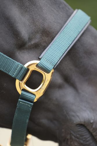 Covalliero TopLine kötőfék - zöld, pony