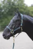 Covalliero TopLine kötőfék - zöld, cob