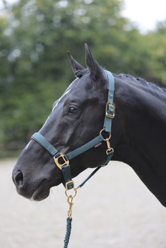 Covalliero TopLine kötőfék - zöld, cob