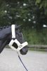 Covalliero SuperSoft kötőfék - kék, pony