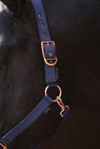 Covalliero Classy kötőfék - kék, shetty