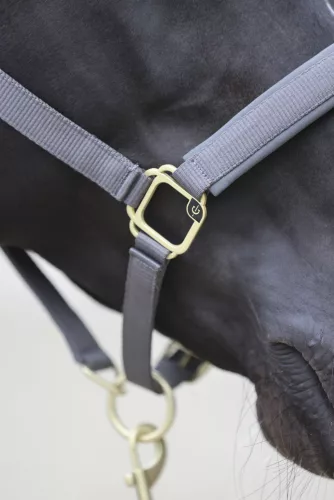 Covalliero Classy kötőfék - szürke, shetty