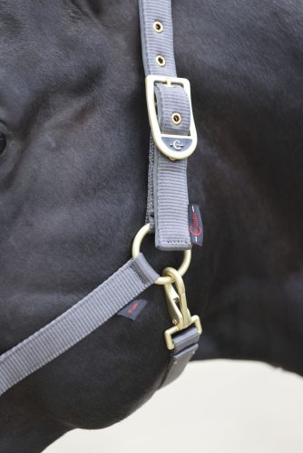 Covalliero Classy kötőfék - szürke, pony