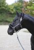 Covalliero ClassicSoft kötőfék - szürke, pony