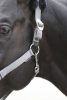 Covalliero ClassicSoft kötőfék - szürke, pony