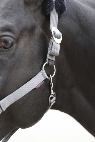 Covalliero ClassicSoft kötőfék - szürke, pony