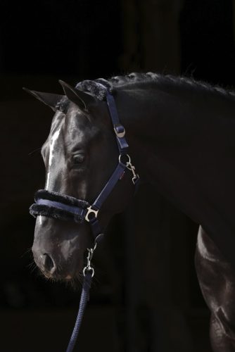 Covalliero ClassicSoft kötőfék - cappuccino, shetty