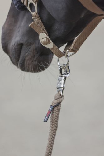 Covalliero ClassicSoft kötőfék - cappuccino, pony