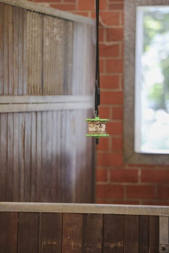 Delizia répás szendvics - 195 g