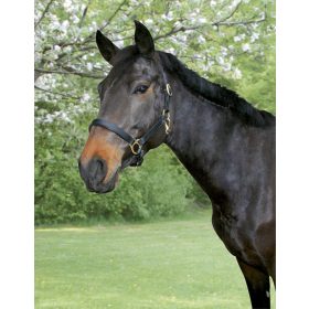 Covalliero Eco bőr kötőfék - fekete, póni