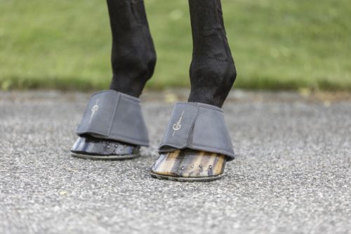 Covalliero 2023 S/S pataharang - világos szürke, cob