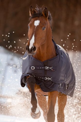 RugBe IceProtect téli lótakaró 200 g - sötétkék, 135 cm