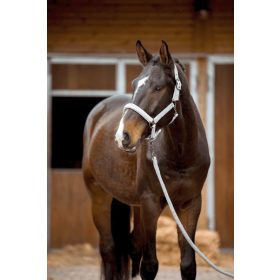 Covalliero 2023 AW kötőfék - jádezöld, póni