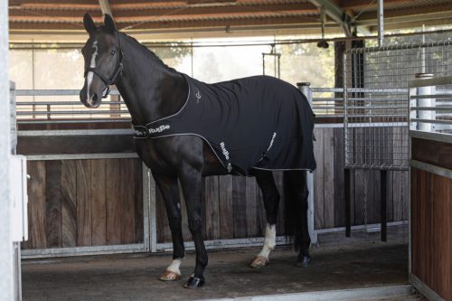 Séta-takaró lovaknak - fekete, 145 cm