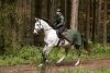 Covalliero 2024 AW lótakaró lovagláshoz - opálzöld, 135 cm