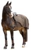 Covalliero 2024 AW lótakaró lovagláshoz - kávébarna, 125 cm