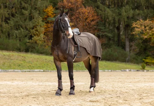 Covalliero 2024 AW lótakaró lovagláshoz - kávébarna, 125 cm