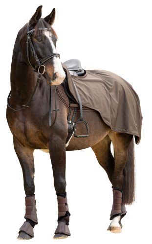 Covalliero 2024 AW lótakaró lovagláshoz - kávébarna, 135 cm
