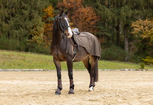 Covalliero 2024 AW lótakaró lovagláshoz - kávébarna, 135 cm