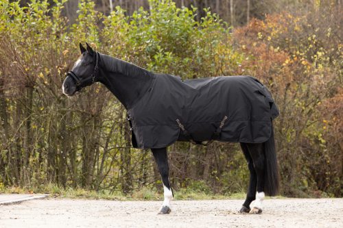 Covalliero 2024 AW RugBe 100 lótakaró - fekete, 145 cm