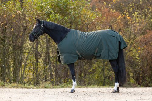 Covalliero 2024 AW RugBe 100 lótakaró - opálzöld, 145 cm