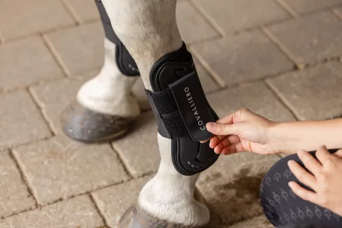 Covalliero 2025 S/S ínvédő - fehér, cob, M