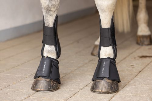 Covalliero 2025 S/S pataharang - fekete, cob, M