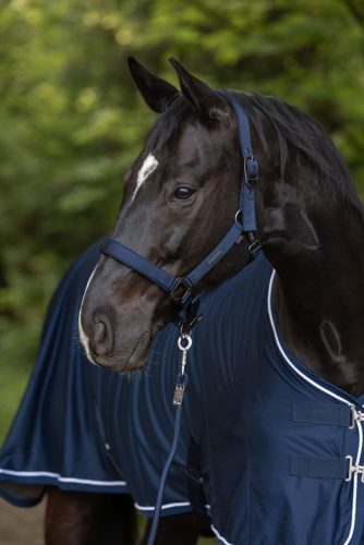 Covalliero 2025 S/S kötőfék - sötétkék, pony