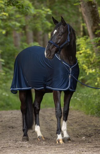 Covalliero 2025 S/S kötőfék - sötétkék, pony