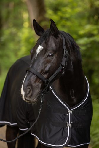 Covalliero 2025 S/S kötőfék - fekete, Pony