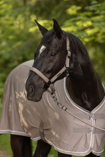 Covalliero 2025 S/S kötőfék - bézs, pony