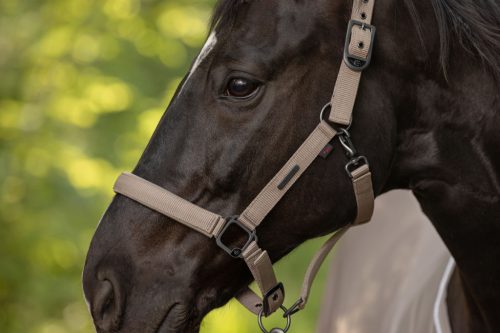 Covalliero 2025 S/S kötőfék - bézs, pony